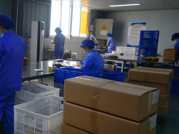 哪里有膏藥加工廠？膏藥貼牌廠家哪家好？
